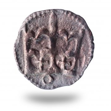 Grafika: Crown denarius, C. Jagiellon – M.Cz.I 385a
