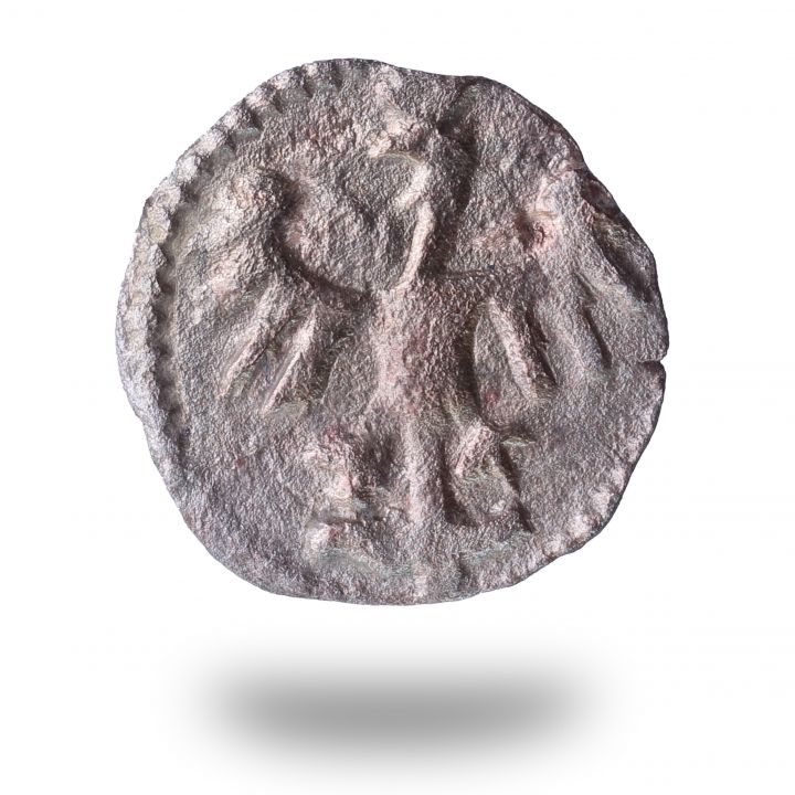 Zdjęcie dla obiektu: Crown denarius, C. Jagiellon – M.Cz.I 385a