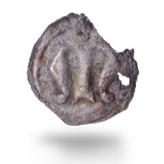 Miniaturka zdjęcia dla obiektu: Brakteat  miasta Ziębice - M.Cz.I 390a