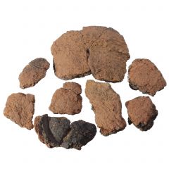 Miniaturka zdjęcia dla obiektu: Fragments of a pot – Field inventory no. 35/2012